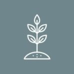 2 Growth Groups