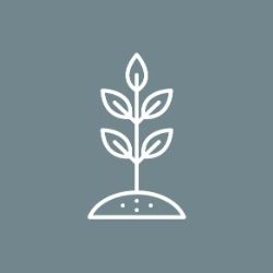 2 Growth Groups