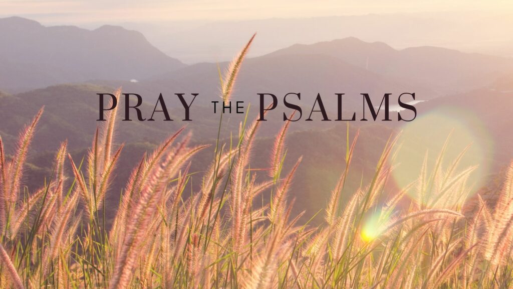 Pray the Psalms