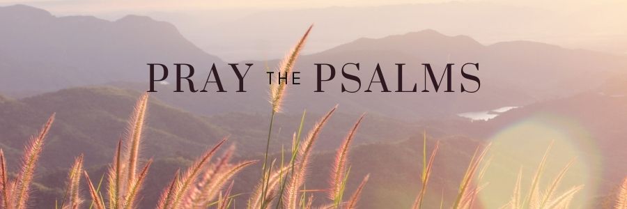 Pray the Psalms (900 x 300 px)