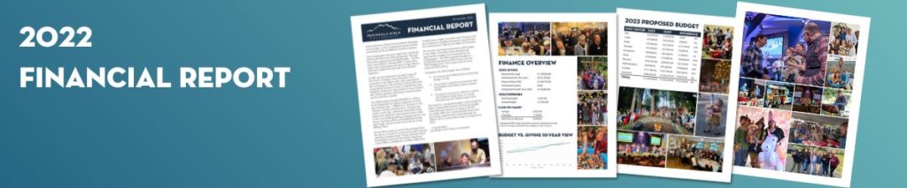 Financial Report 2022 (1200 × 250 px)