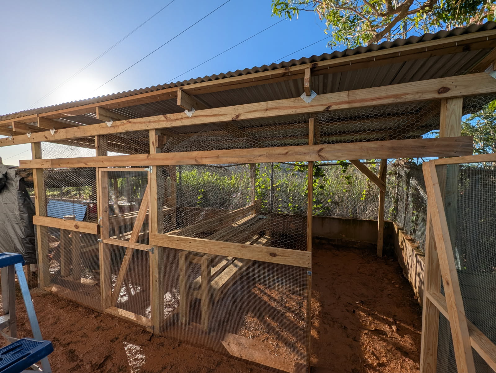7691654673700162549 This is a view of the new coop from the outside looking in. This was all designed and built by our team members!