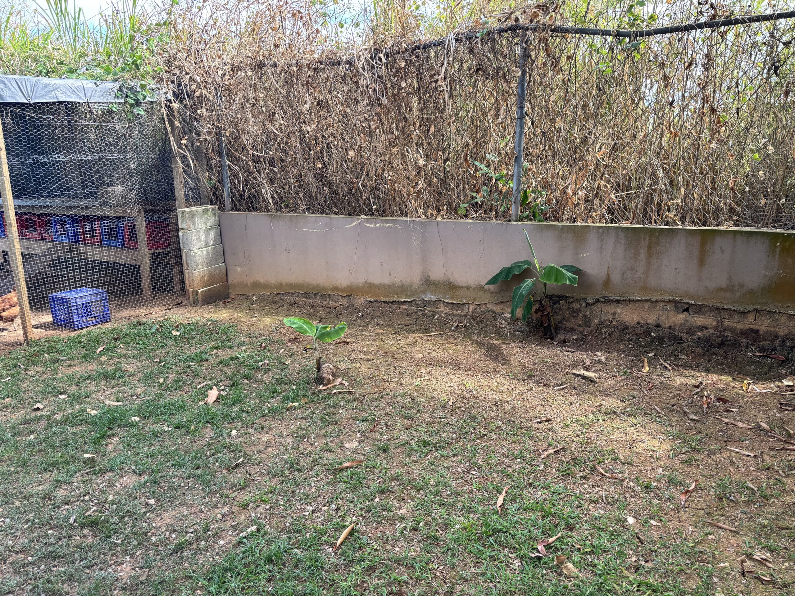 IMG_3789 The "before" photo of the chicken coop expansion - it was a completely empty area that needed to be filled.
