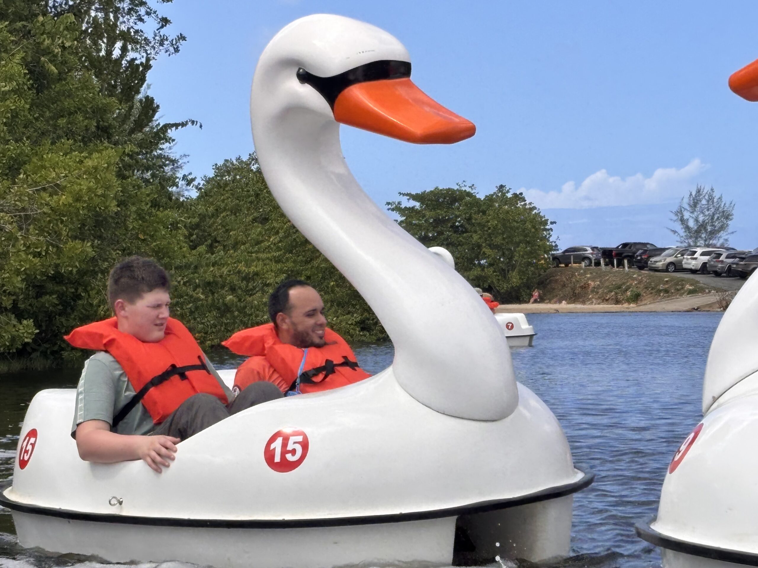 IMG_4391 Jack James and Joseph felt it was more fun to try and bump the other swans than to simply enjoy a leisurely pedal around the lagoon.