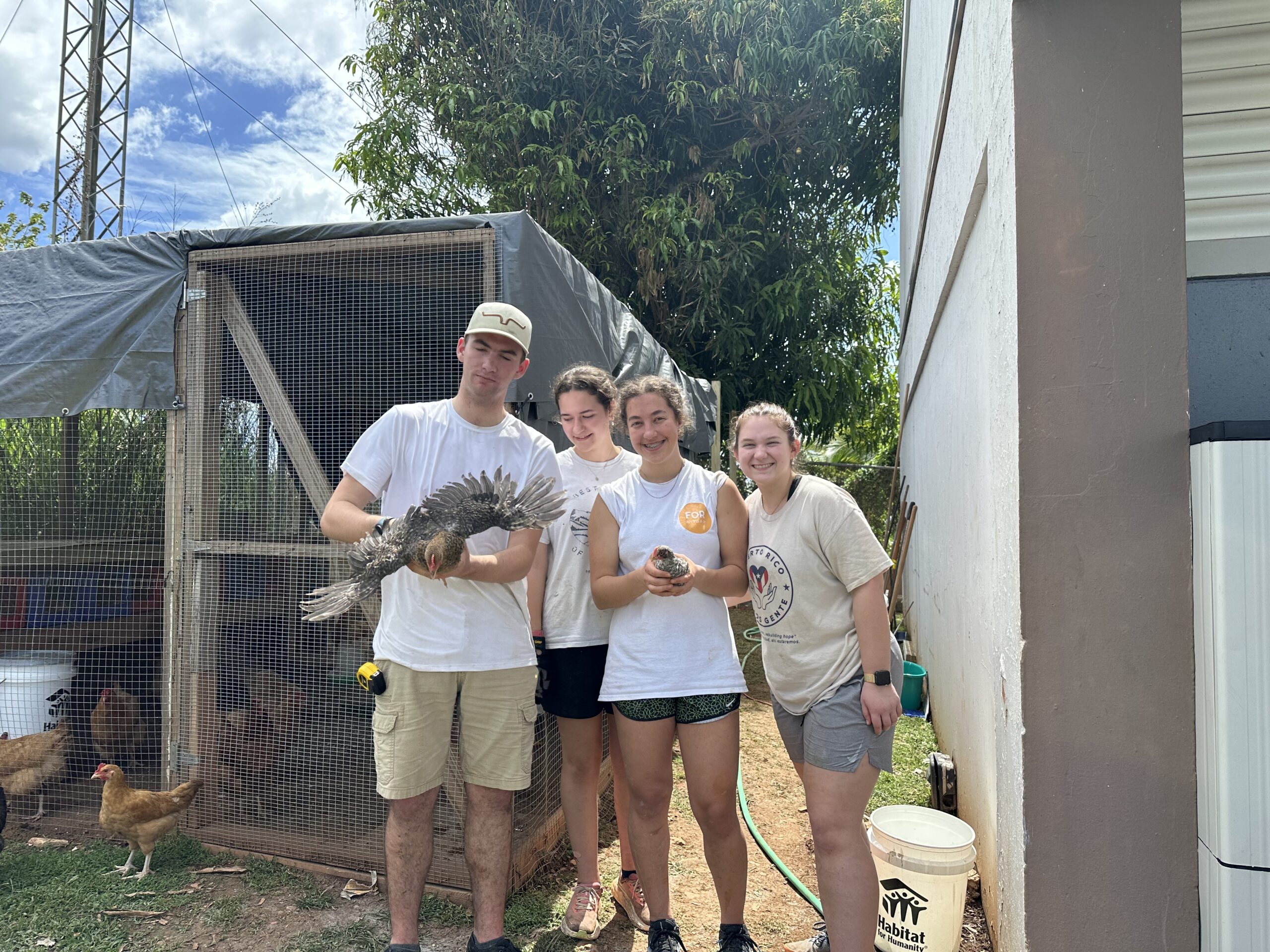 IMG_6371 Project "Chicken Challenge" - this project team wanted to endear themselves to the chickens before they started coop construction.